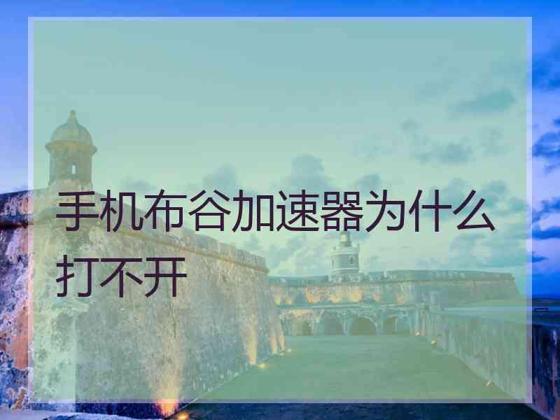 手机布谷加速器为什么打不开