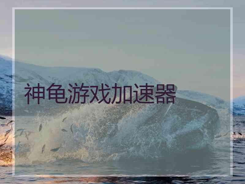 神龟游戏加速器