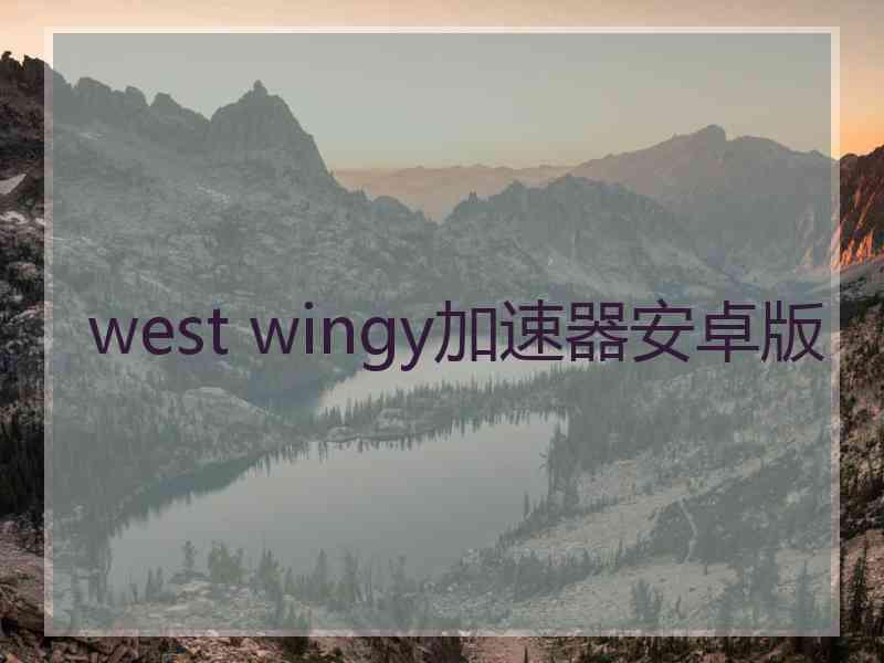 west wingy加速器安卓版
