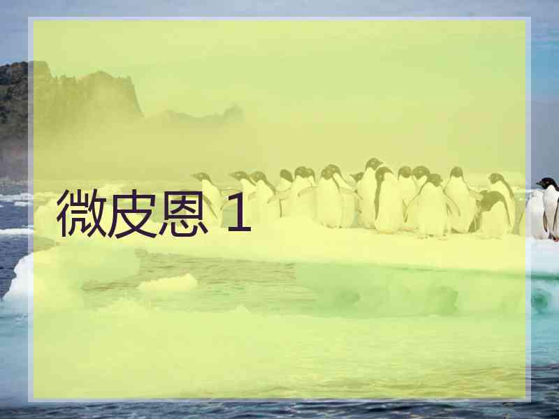 微皮恩 1