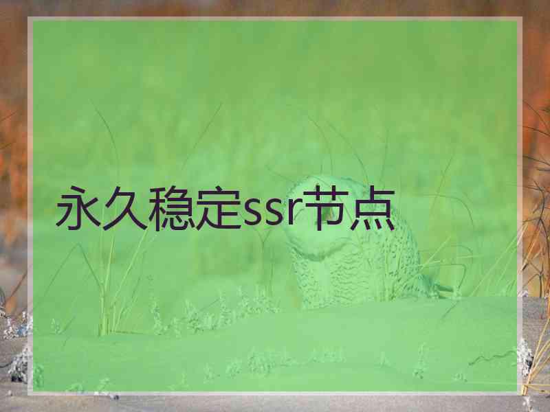 永久稳定ssr节点