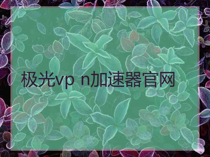 极光vp n加速器官网