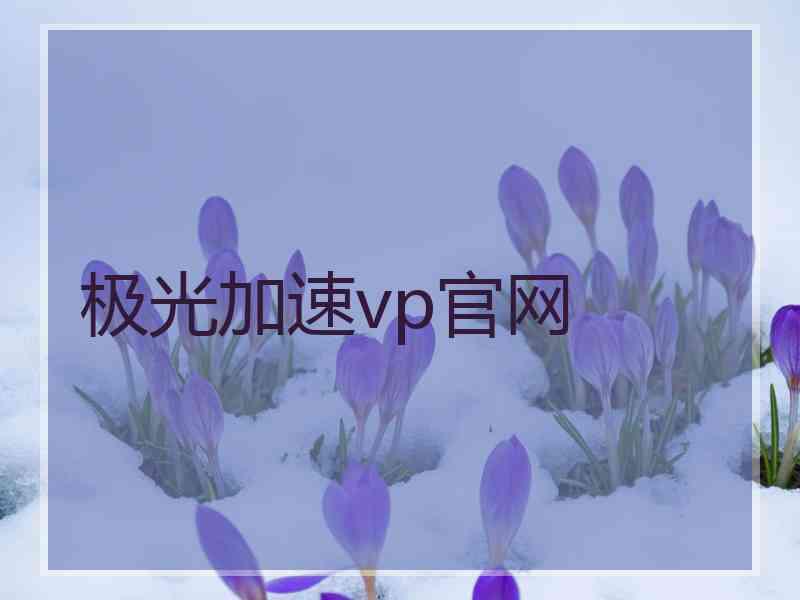 极光加速vp官网