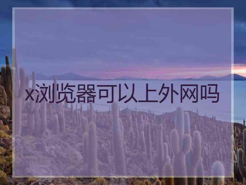 x浏览器可以上外网吗