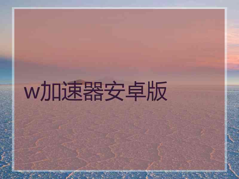 w加速器安卓版