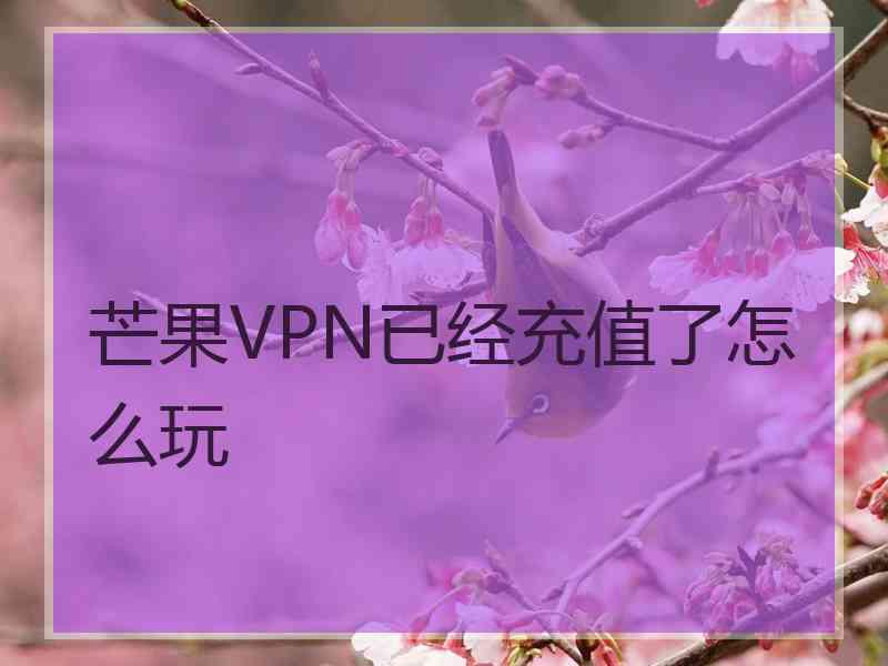 芒果VPN已经充值了怎么玩