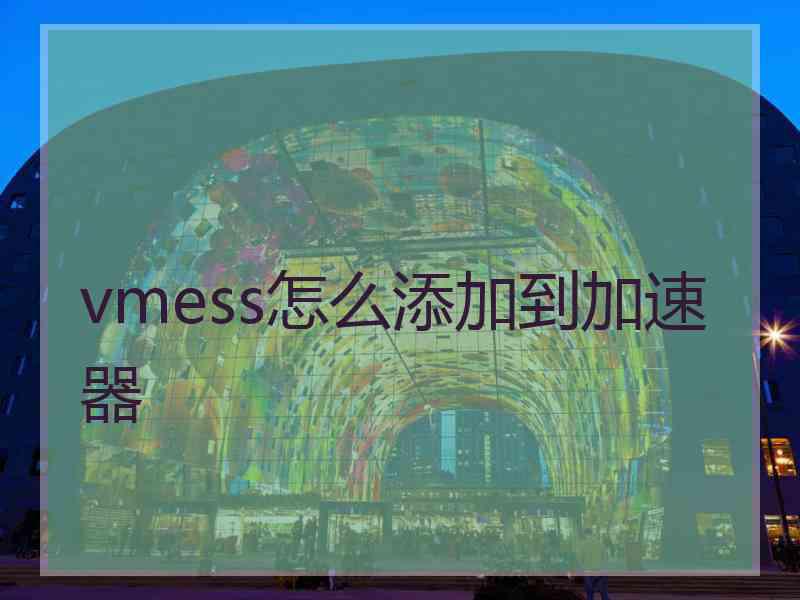 vmess怎么添加到加速器