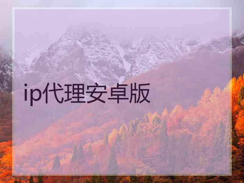ip代理安卓版