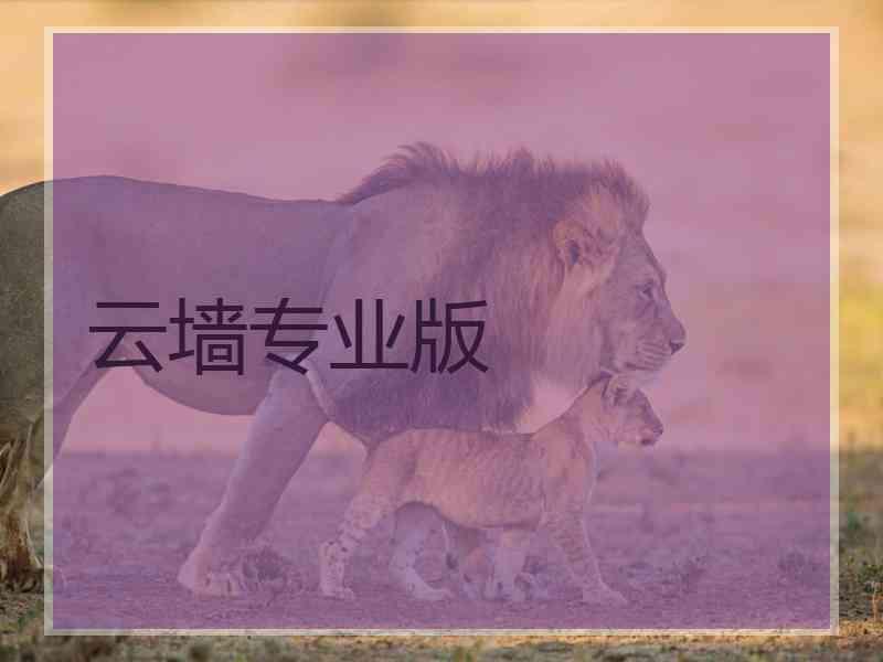 云墙专业版