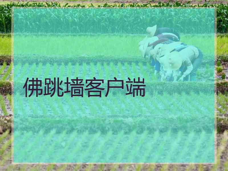 佛跳墙客户端