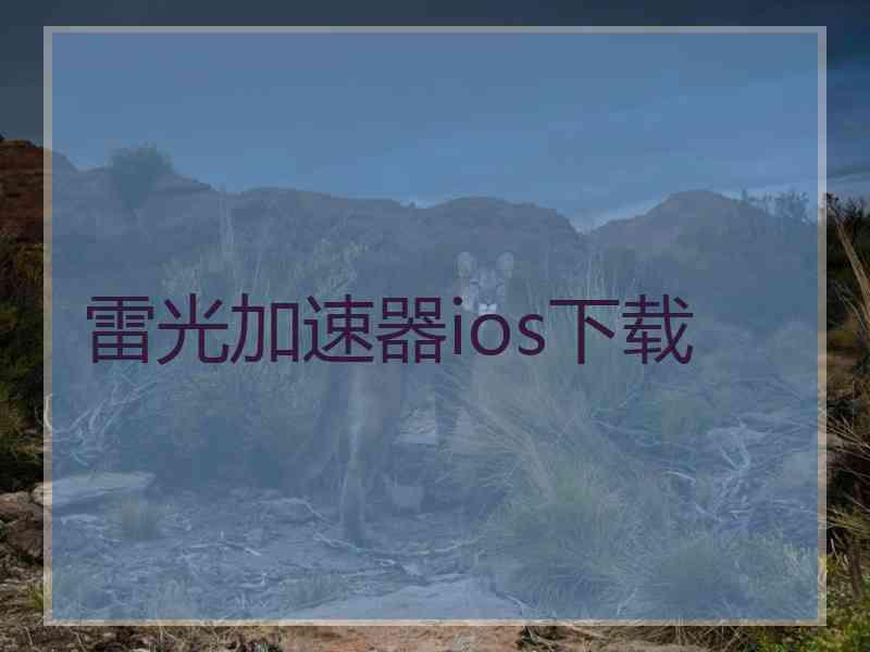 雷光加速器ios下载