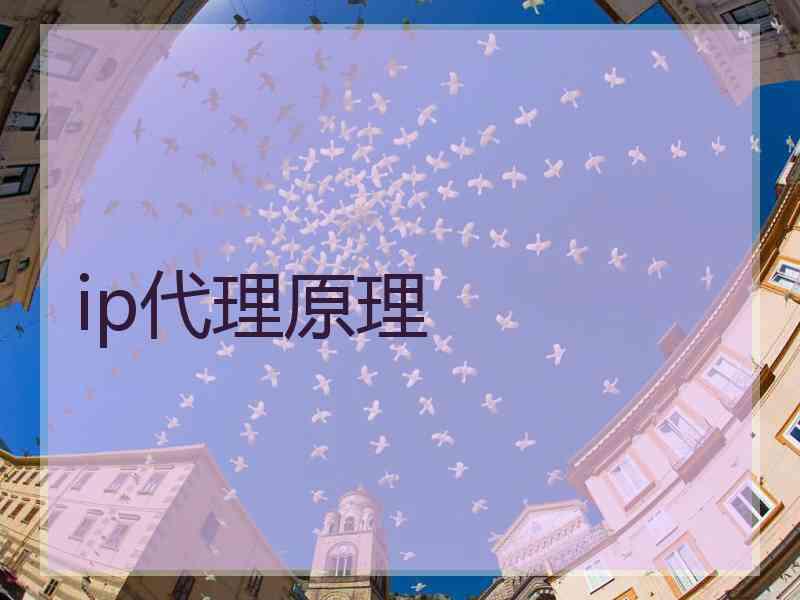 ip代理原理