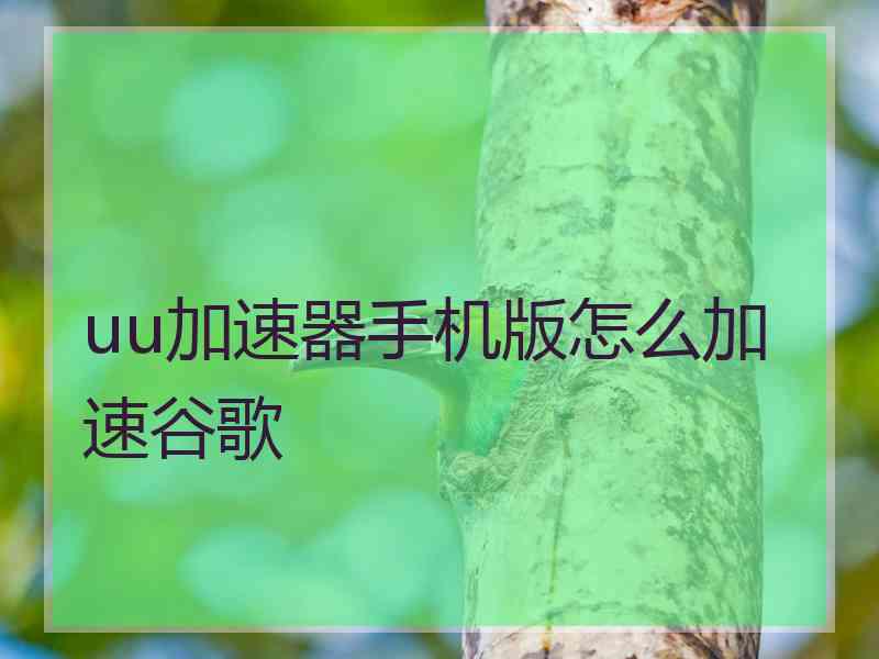 uu加速器手机版怎么加速谷歌