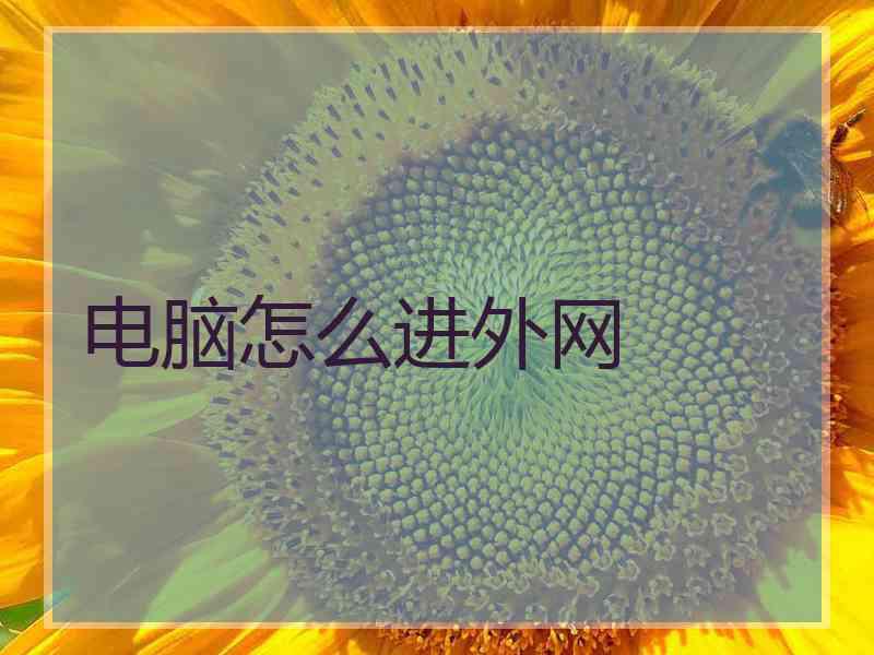 电脑怎么进外网