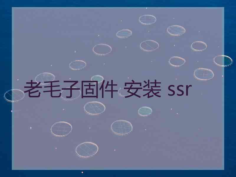 老毛子固件 安装 ssr