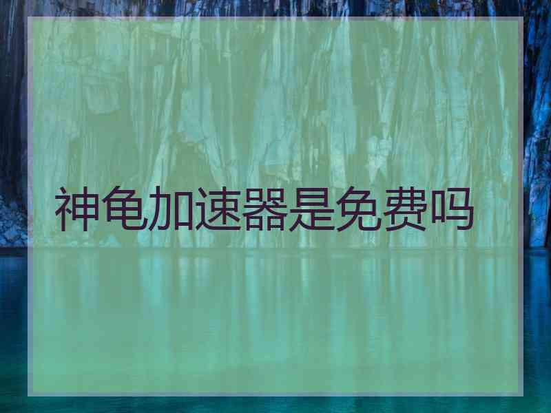 神龟加速器是免费吗