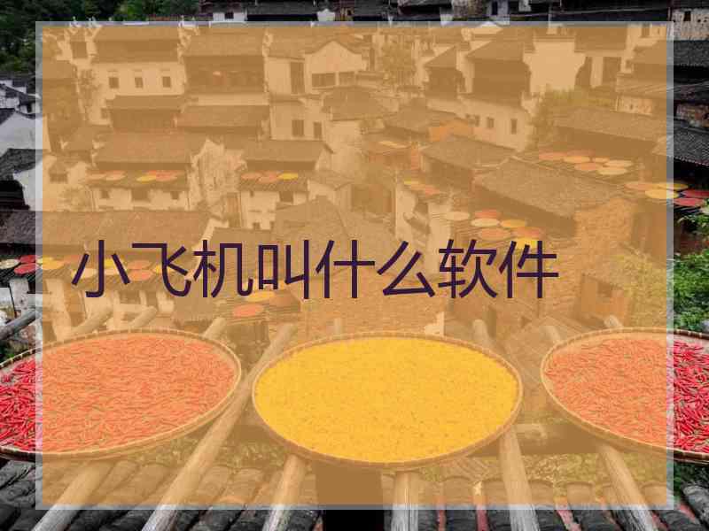小飞机叫什么软件