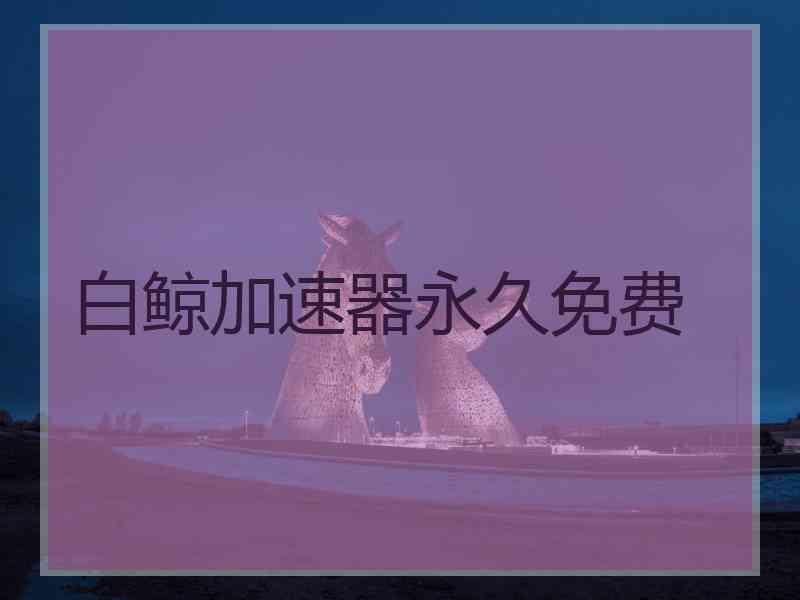 白鲸加速器永久免费