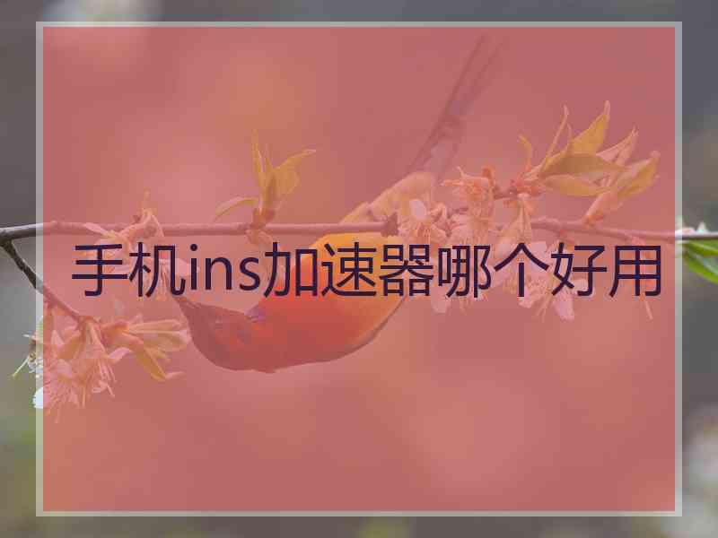手机ins加速器哪个好用