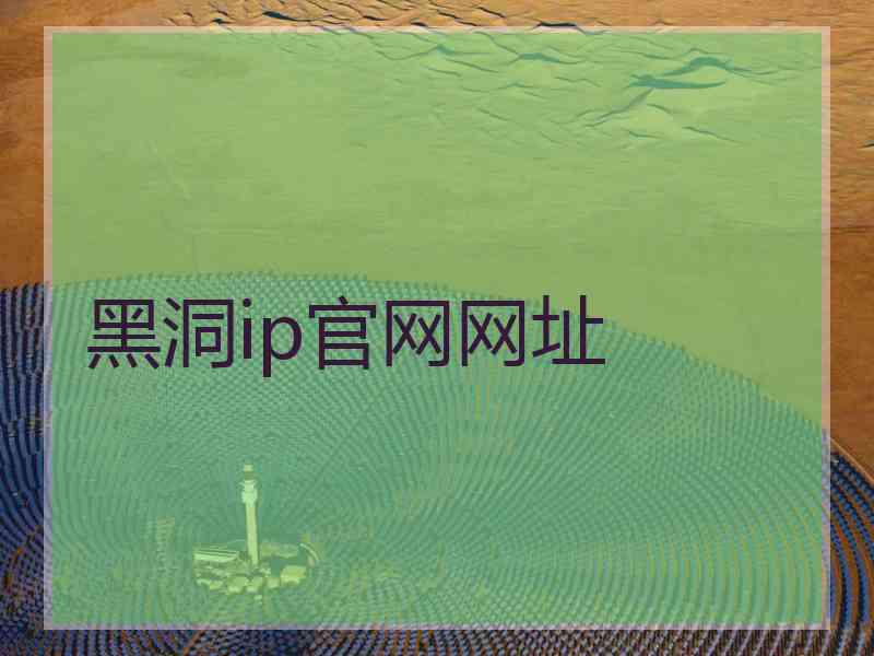 黑洞ip官网网址