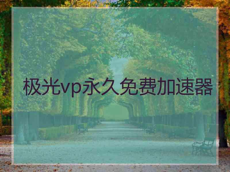 极光vp永久免费加速器