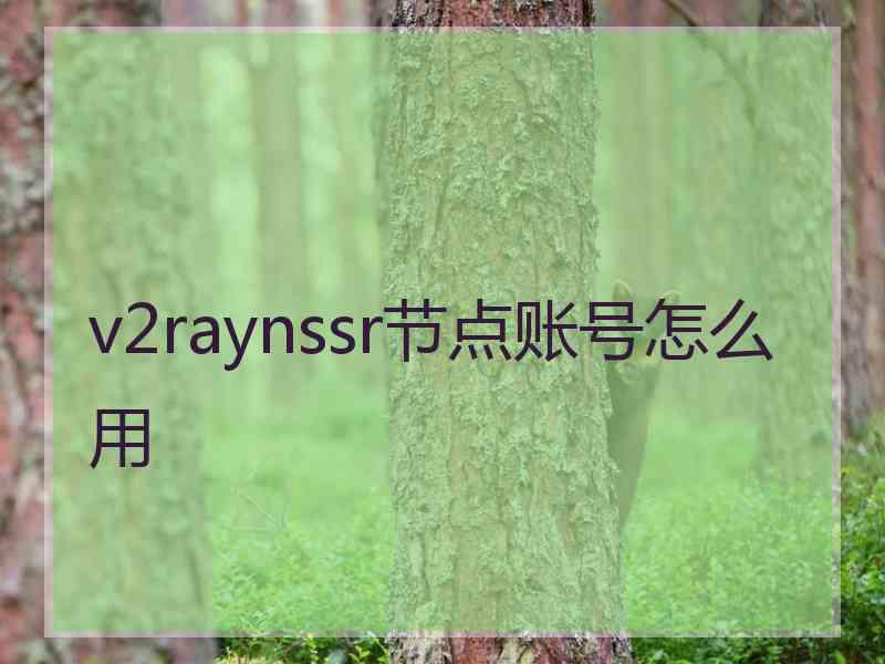 v2raynssr节点账号怎么用