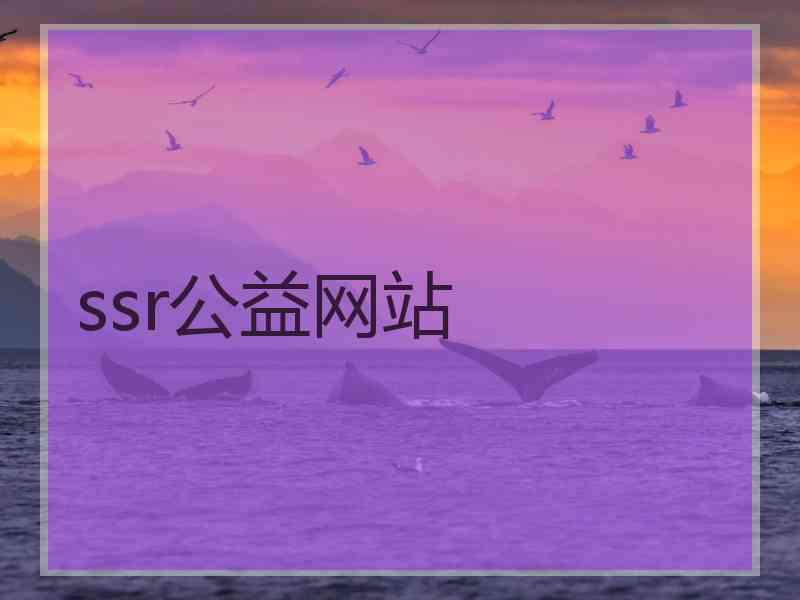 ssr公益网站
