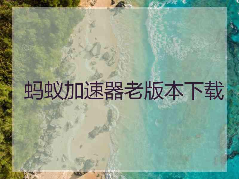 蚂蚁加速器老版本下载