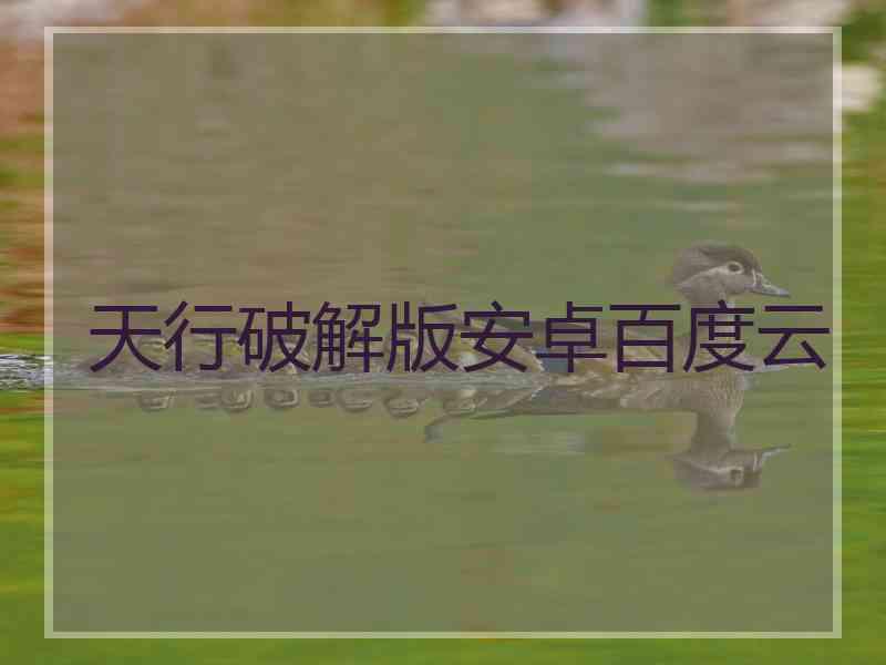 天行破解版安卓百度云