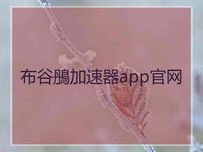 布谷鴅加速器app官网
