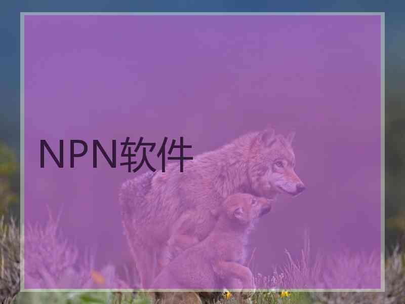 NPN软件