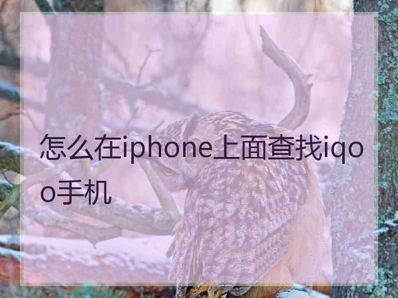 怎么在iphone上面查找iqoo手机