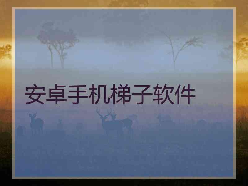 安卓手机梯子软件