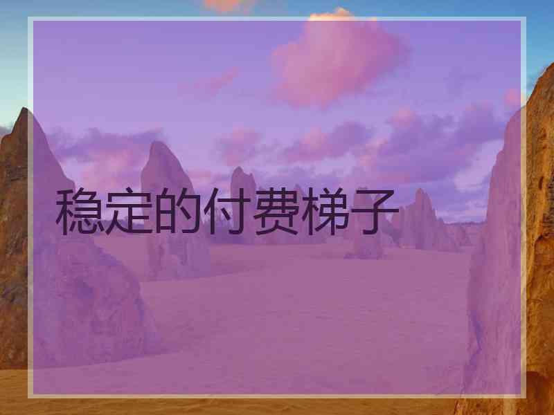 稳定的付费梯子