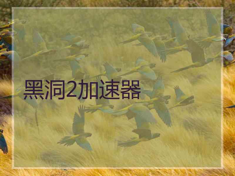 黑洞2加速器