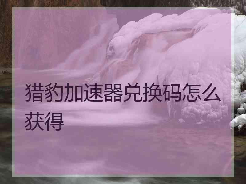 猎豹加速器兑换码怎么获得