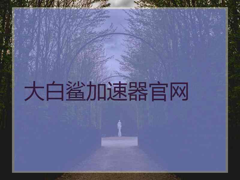 大白鲨加速器官网