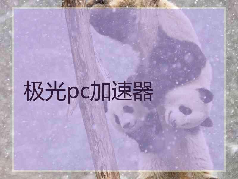 极光pc加速器