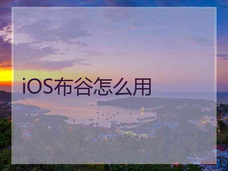 iOS布谷怎么用