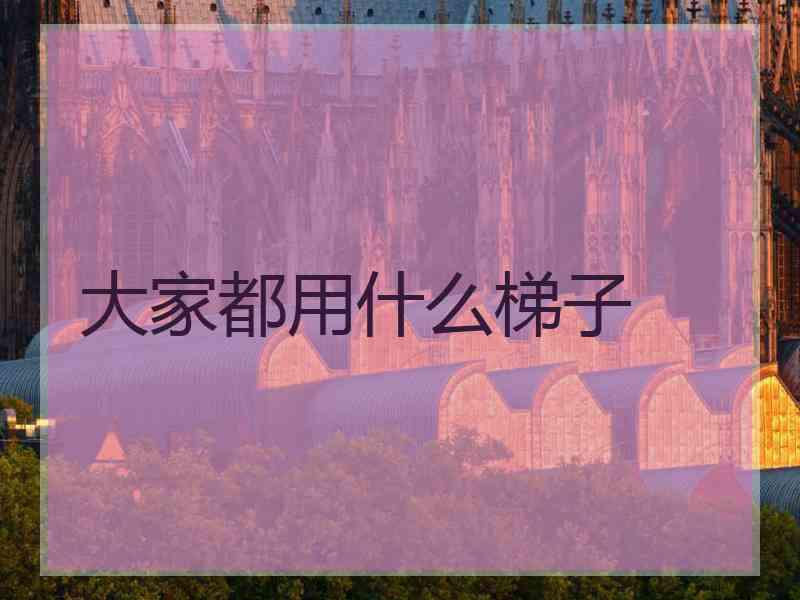 大家都用什么梯子