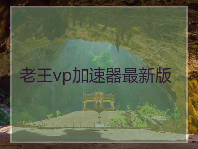 老王vp加速器最新版