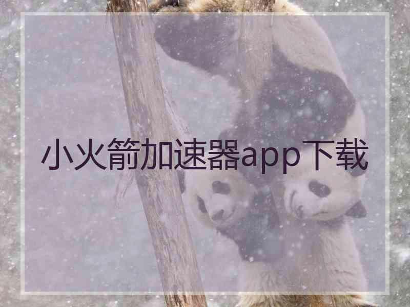 小火箭加速器app下载