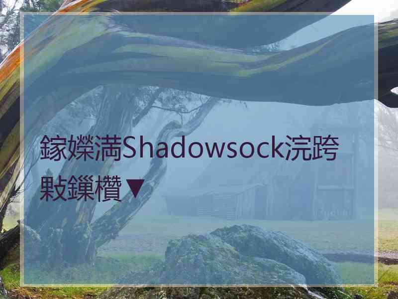 鎵嬫満Shadowsock浣跨敤鏁欑▼