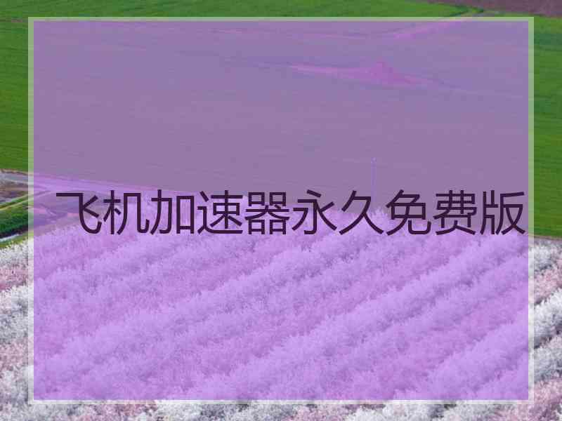 飞机加速器永久免费版