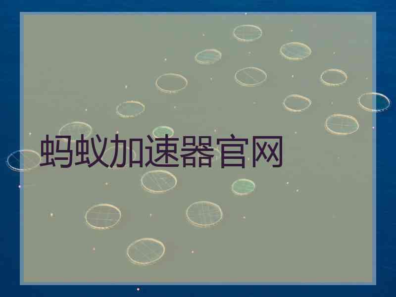 蚂蚁加速器官网
