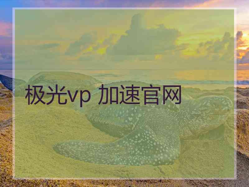 极光vp 加速官网