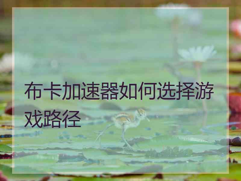 布卡加速器如何选择游戏路径