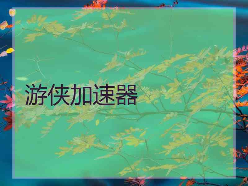 游侠加速器