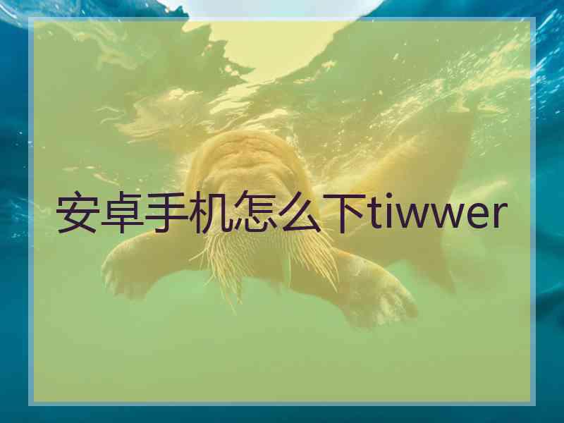 安卓手机怎么下tiwwer