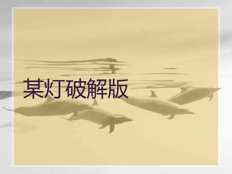 某灯破解版